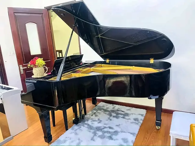 Grand piano đen bóng